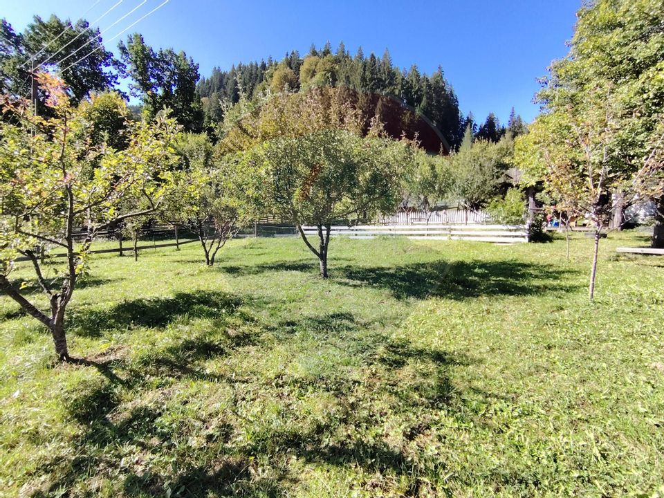 Casă în Vatra Dornei, zona Argestru, cu 11.541m.p. TEREN INTRAVILAN