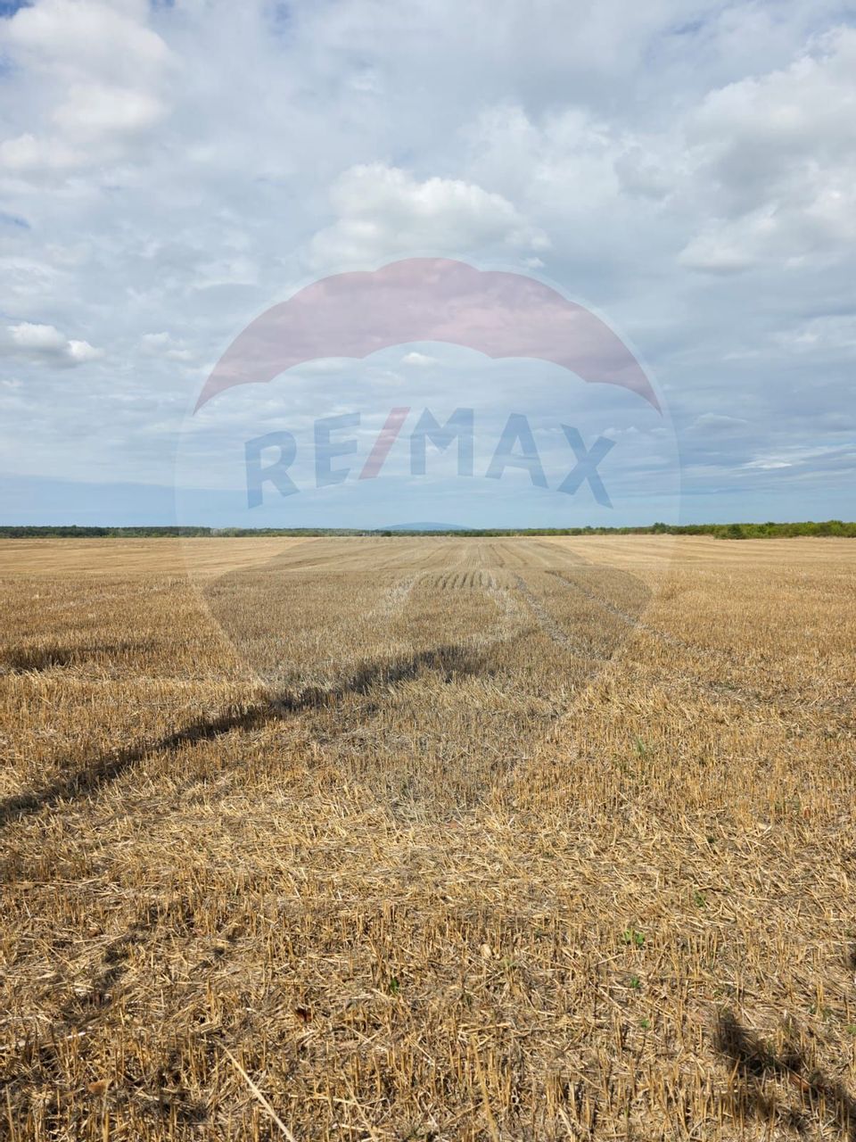 Teren 5000 mp deschidere Sos. Silistea Ciolpani