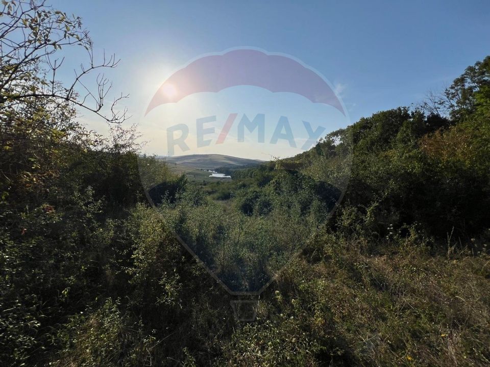 Land 50,000sqm Caianu-Vama / Strada Principala