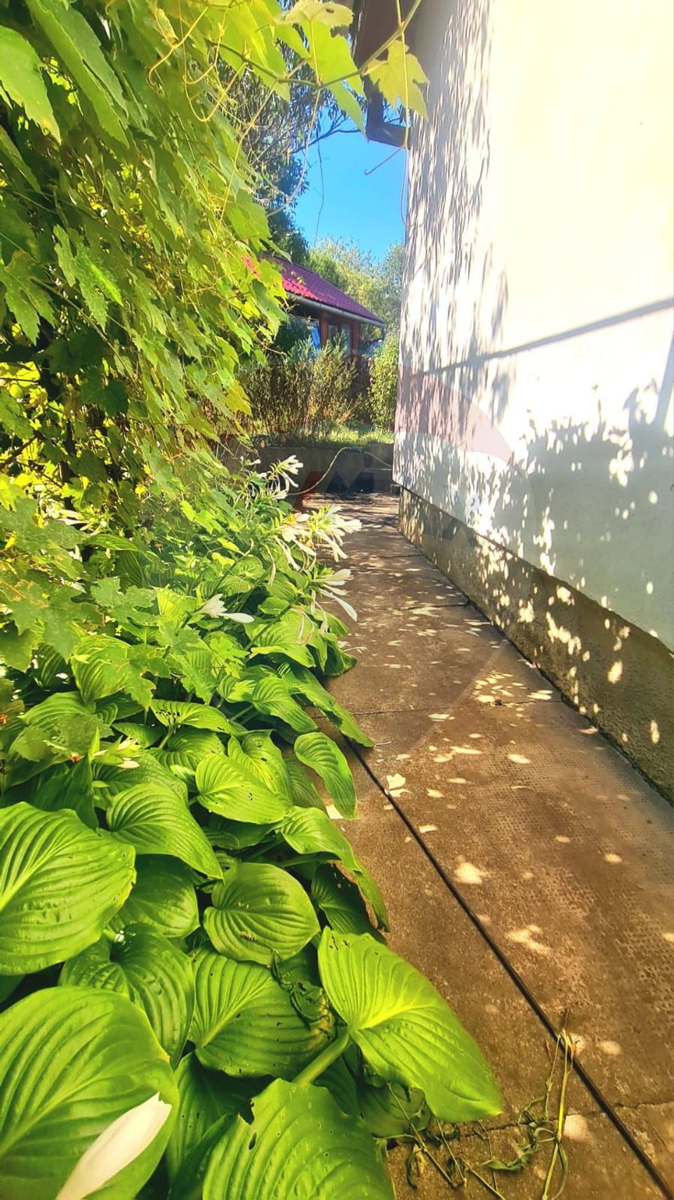 7 room House / Villa for sale, Central area