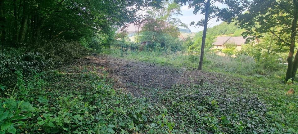 Teren de vânzare – 584 mp, Angarul de Jos, la liziera pădurii