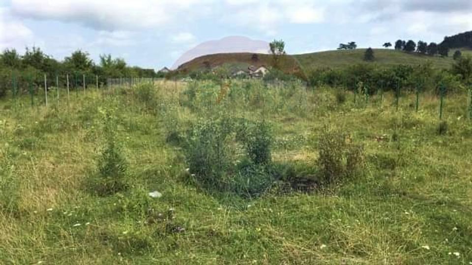 Teren Sanpetru - Strada Nucului, 1296mp, avize in vederea AC