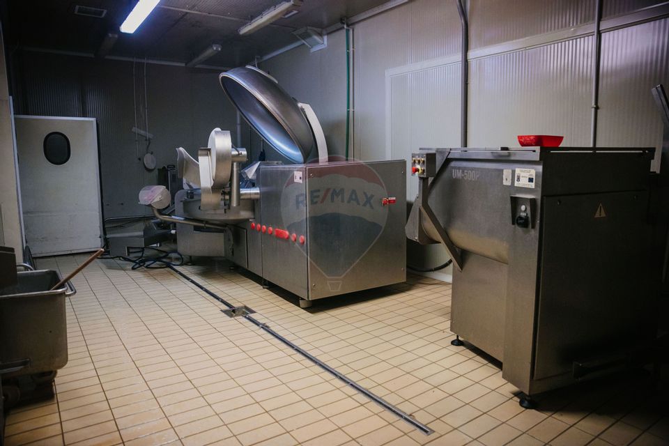 De vânzare AFACERE la cheie--CARMANGERIE--ABATOR--PREPARARE MEZELURI