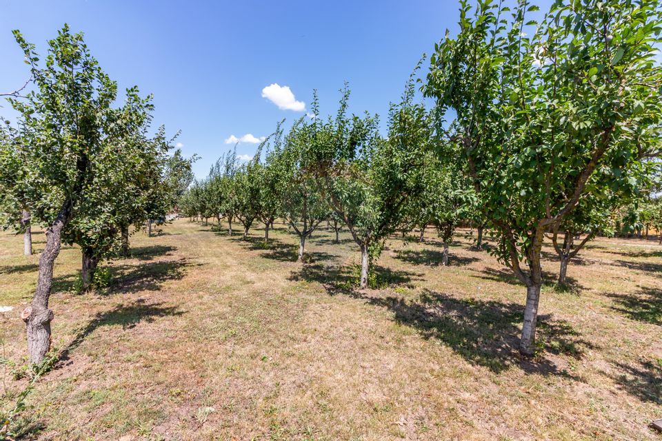 Casa+Laborator+ Teren 12.700 mp + casa de vacanta - Bolintin Vale