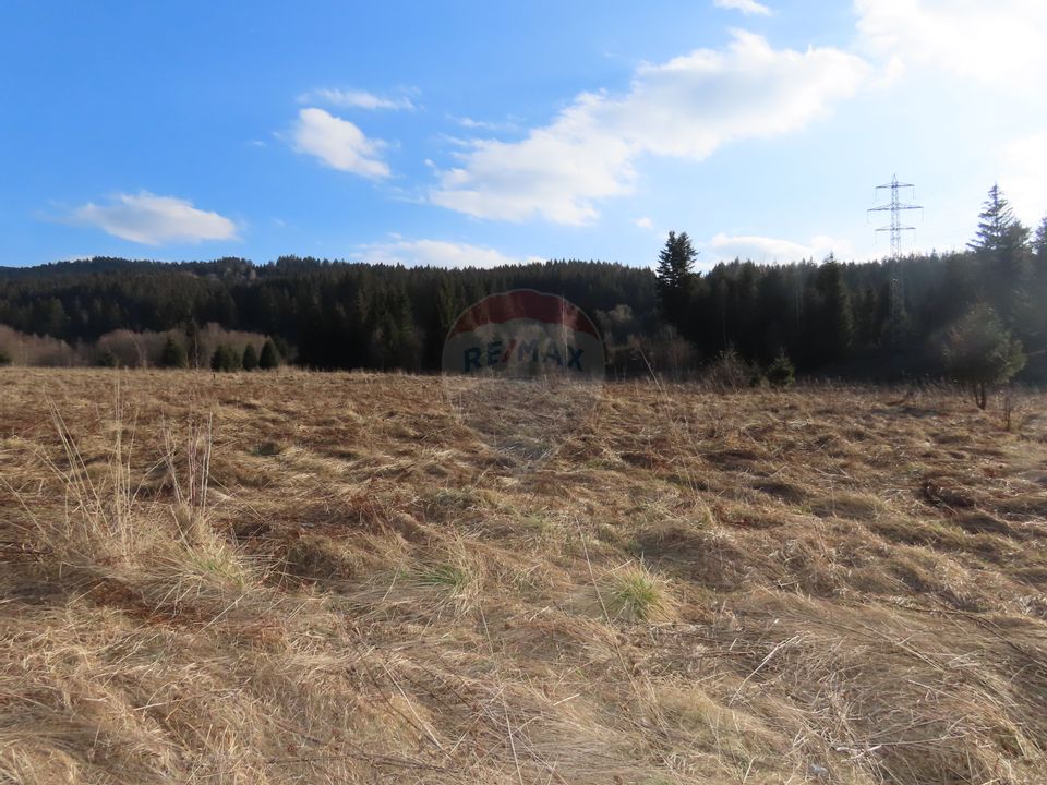 Land 1,183sqm Timisu de Sus / Strada Poiana lui manole