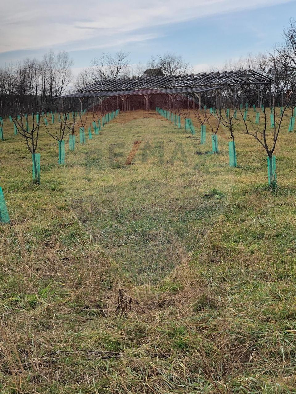 Land 6,000sqm Lugasu de Jos / Strada principala