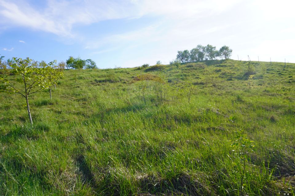 Teren 38,592mp Sighetu Marmatiei / Strada Mocăniței