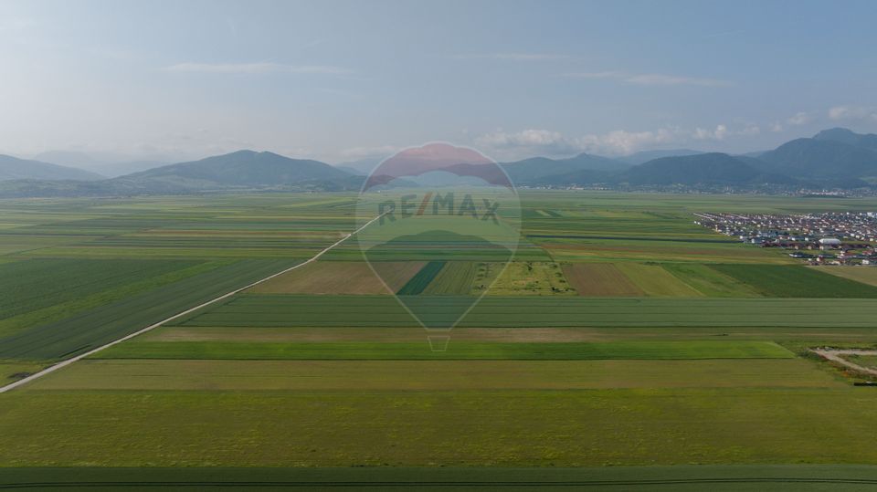 Teren 42,000mp Tarlungeni / Strada Izvor