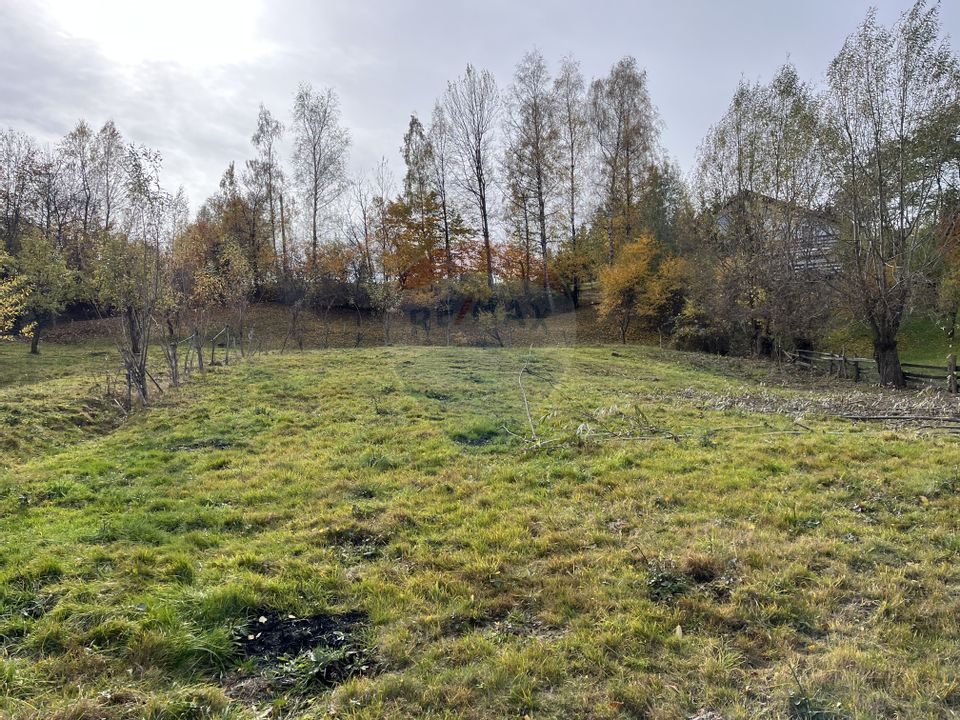 Teren de Vis în Bran – 1000mp Plat, Liniște Absolută și Aer Curat