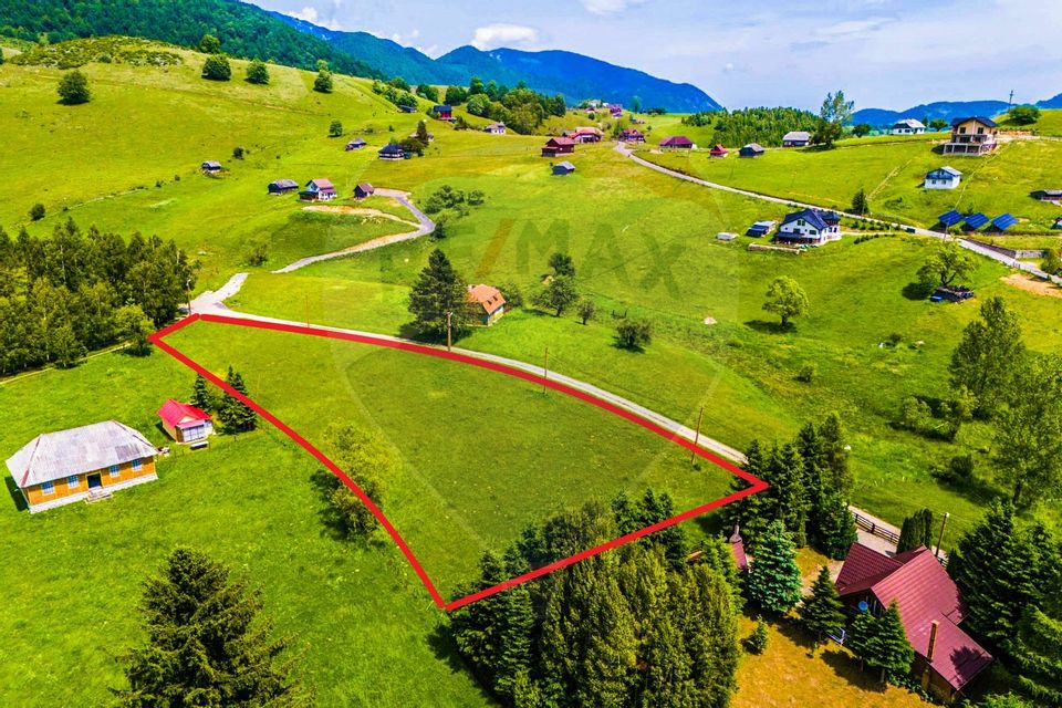 Land 5,731sqm Sirnea / Strada Principala