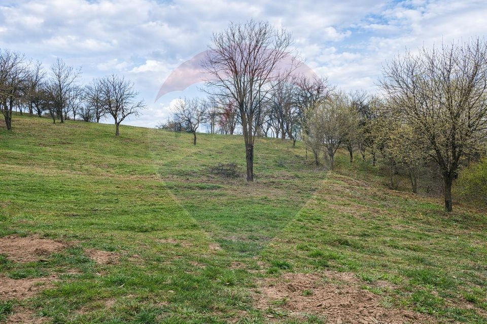 Teren intravilan Orăștie 2200 mp – perfect parc distracții / vilă