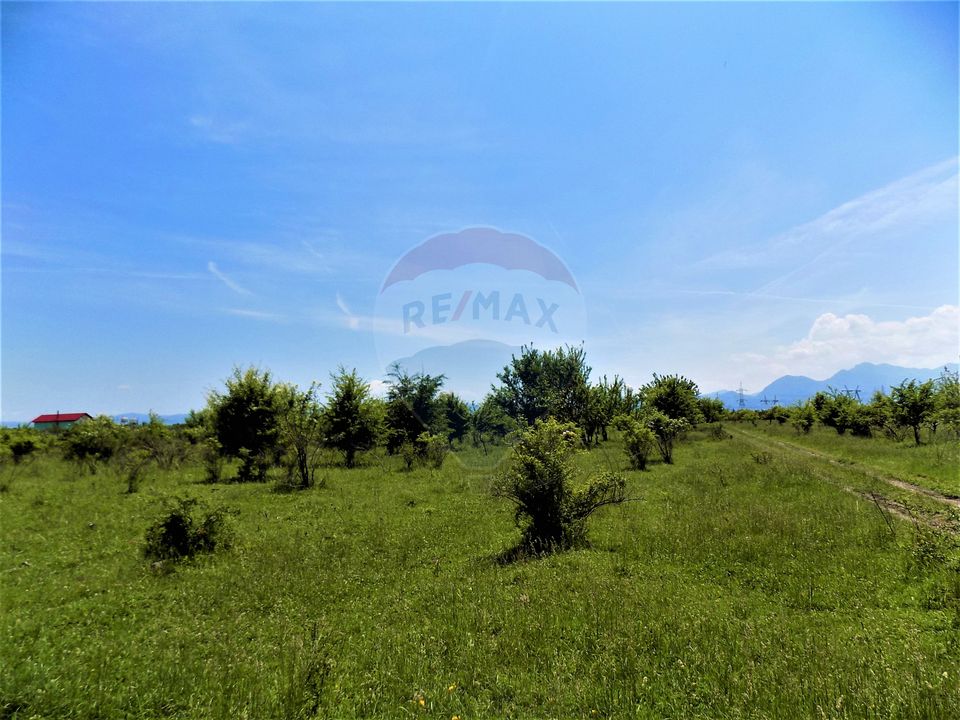 Teren 1287 mp Sanpetru Livada