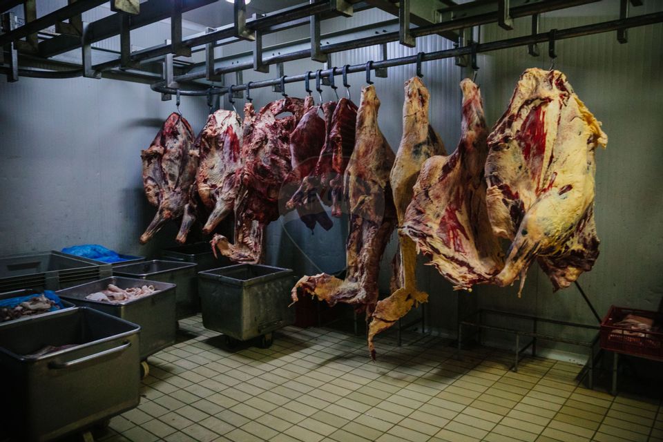 Spațiu industrial de 1,700mp de închiriat în zona Vasile Alecsandri