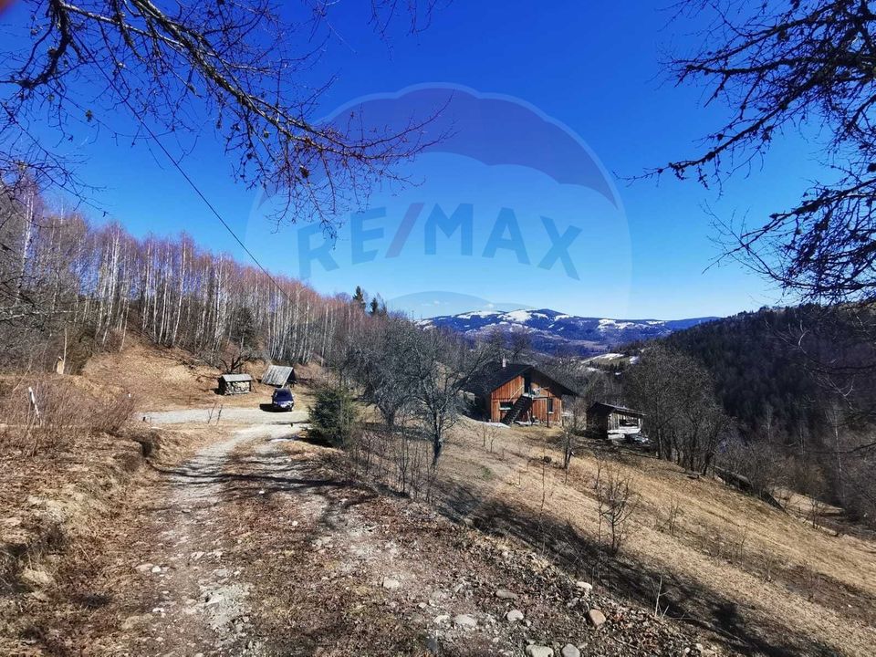 6,2 ha + business turistic activ | Munții Apuseni