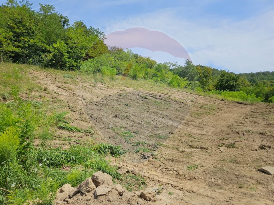 Land 800sqm Medias / Strada Socului