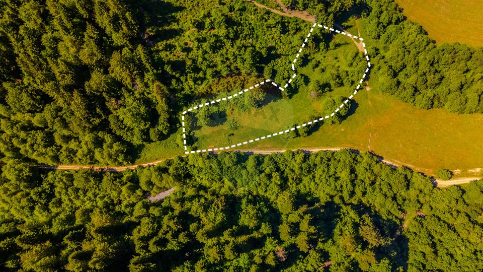 Teren 6000mp Sacele -zona Brădet/ Intravilan/ COMISION 0%