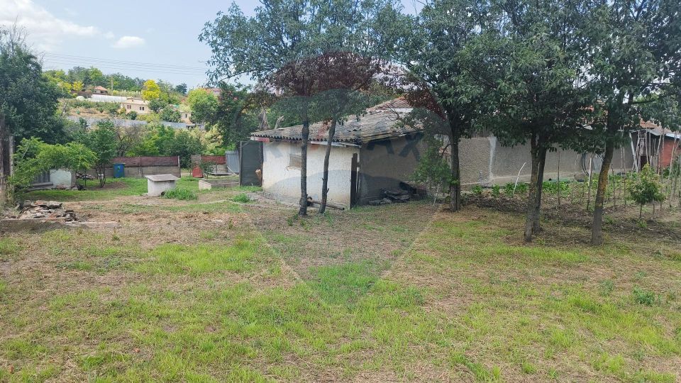 3 room House / Villa for sale