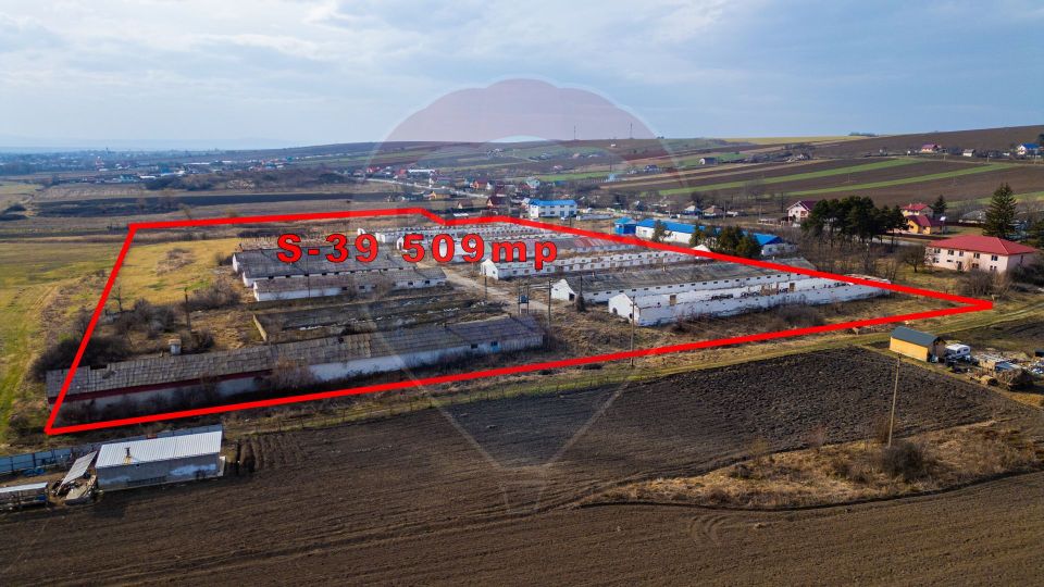 Teren  intravilan in sat Zapodia, com. Traian, jud. Bacău, 39.600mp,