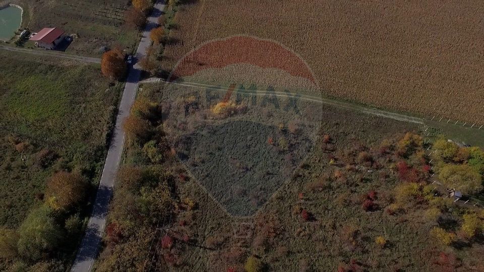 Land 2,556sqm Padureni (Chinteni) / Drumul DC147