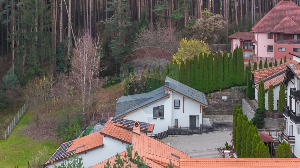 Vila moderna cu vedere spre padure Poiana Angelescu