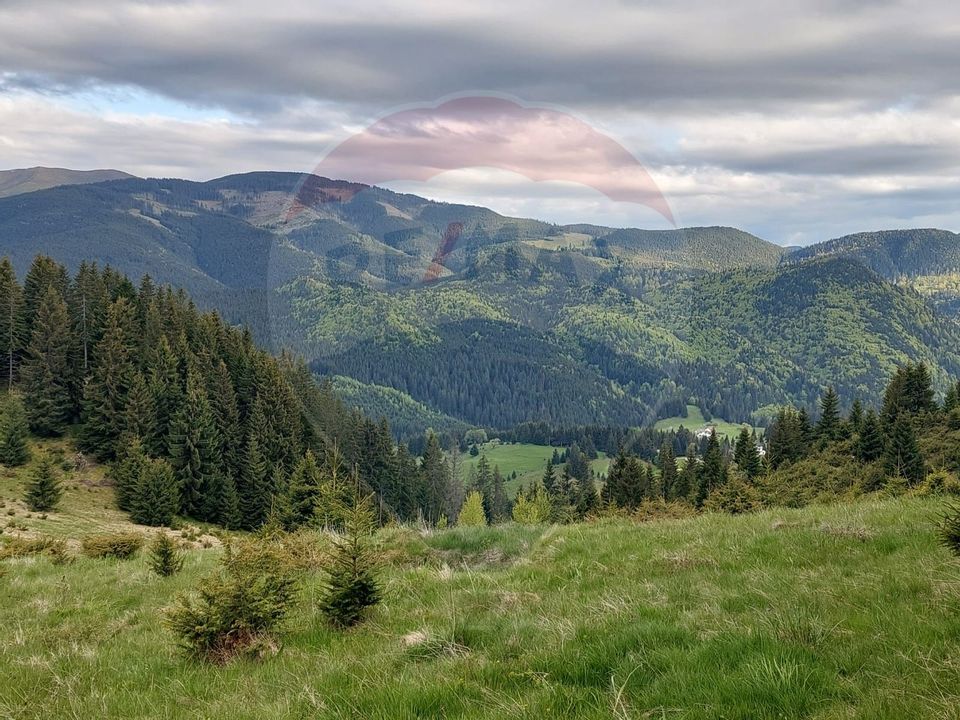 O fereastră către cer – teren de vis în Fundata, la poalele Bucegilor