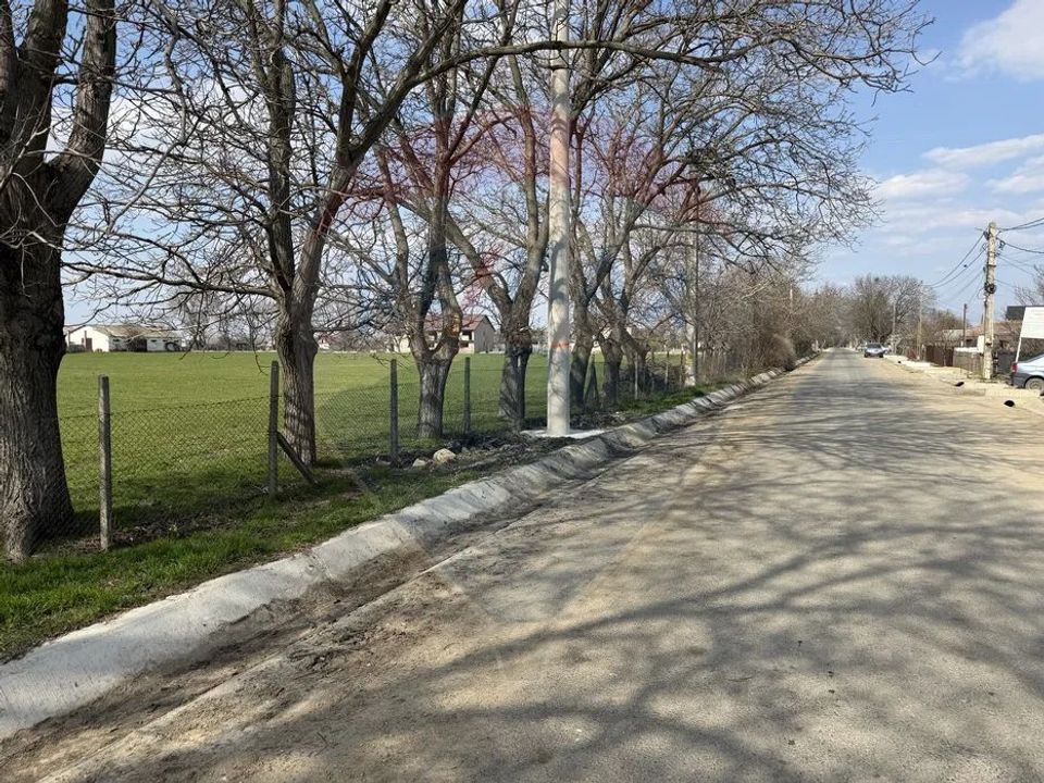 Teren 500 h plus 1000h arenda Vrancea