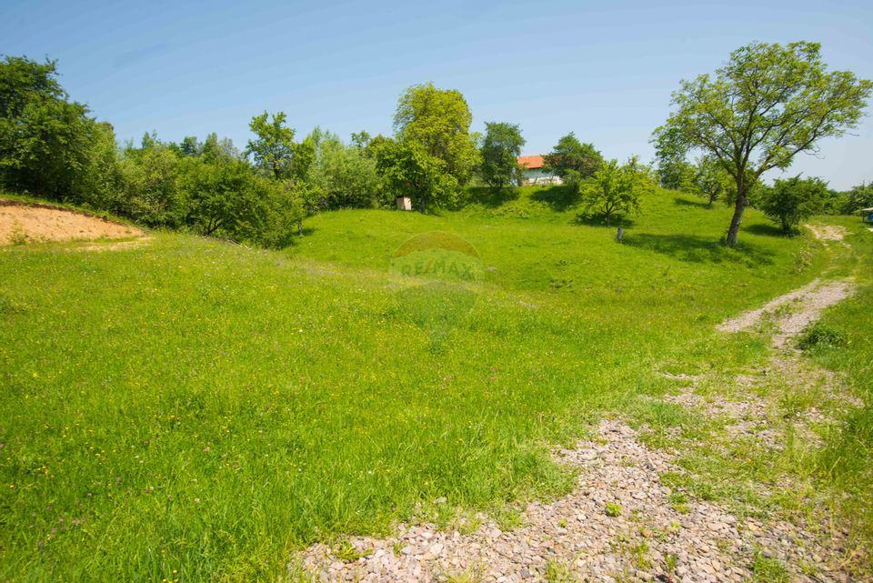 Land for sale 10990sqm Bran Sohodol, great view, utilities