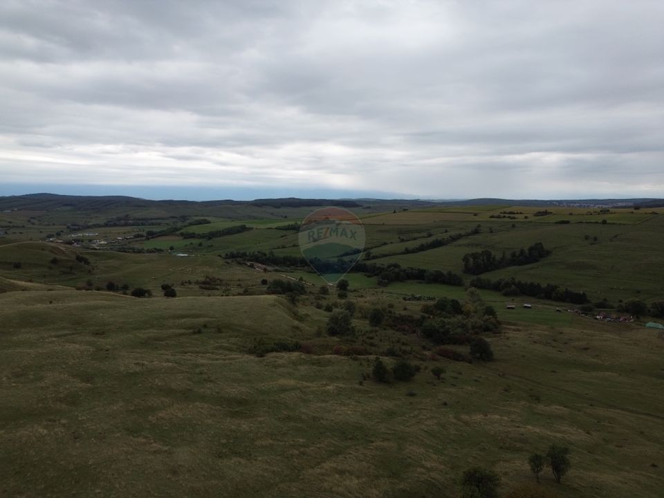 Land 65ha Agnita / Central