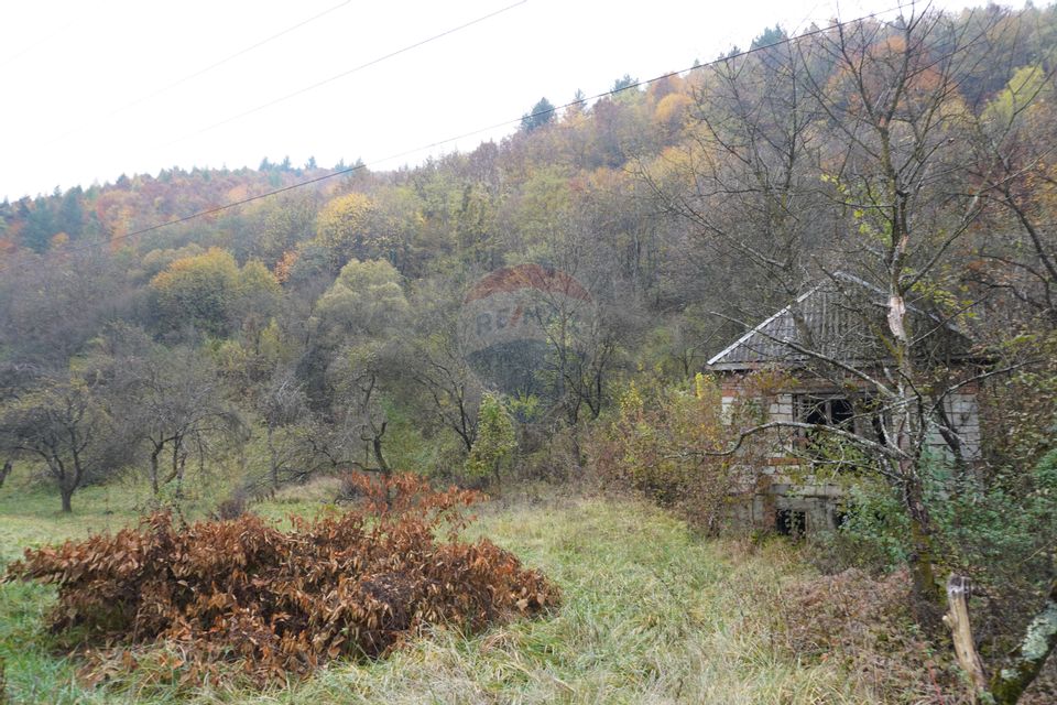 Land 35,232sqm Sighetu Marmatiei / Strada Valea Cufundoasa