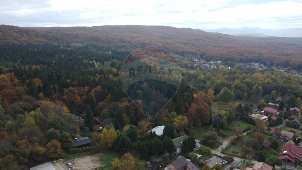 Teren de vanzare în Faget 1542 mp cu panorama