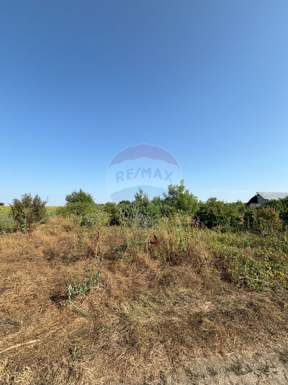 Teren Tartasesti langa complex Buna Ziua