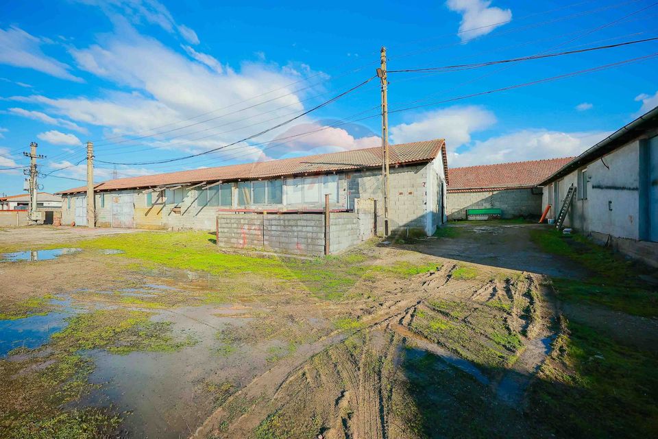 De vânzare spațiu industrial în Loc. Tileagd–Tilecuș