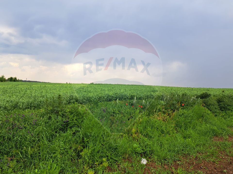 Teren Ciolpani 15.000 mp oportunitate posibilitate lotizare 5000 mp