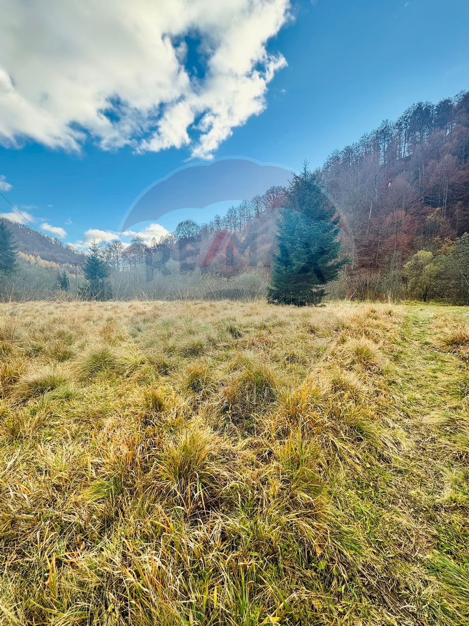 Teren 4,877mp Mara / Strada Principala