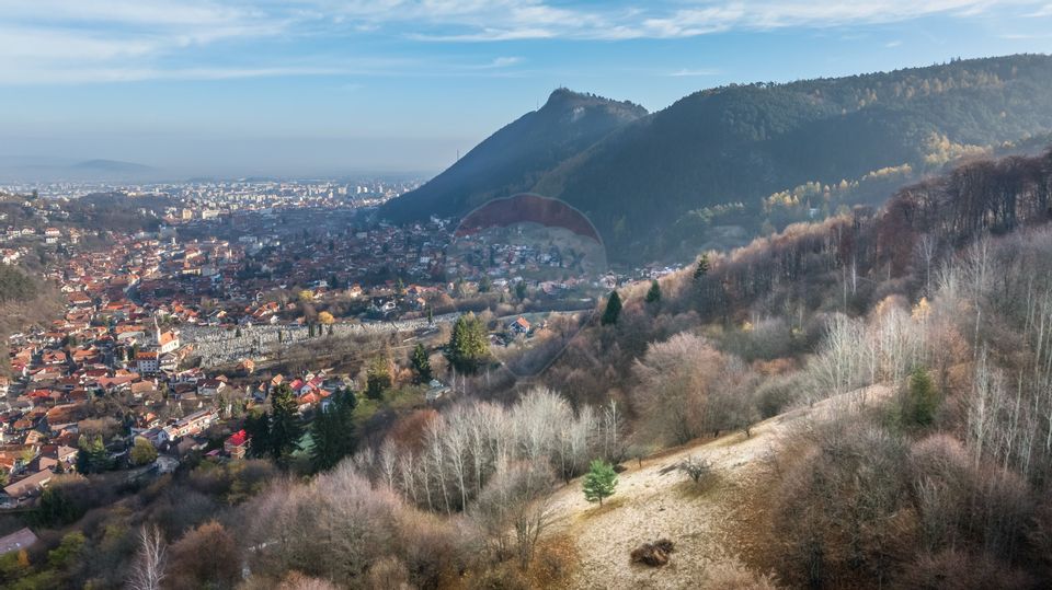 Teren Colinar Panoramic – 17.684 mp în Scheii Brașovului