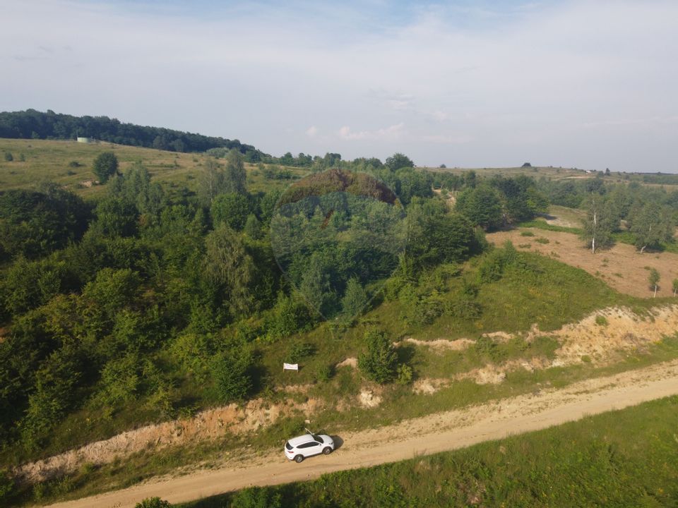 Teren de vanzare in Salicea, 10000 MP , Zona Moara de vant!