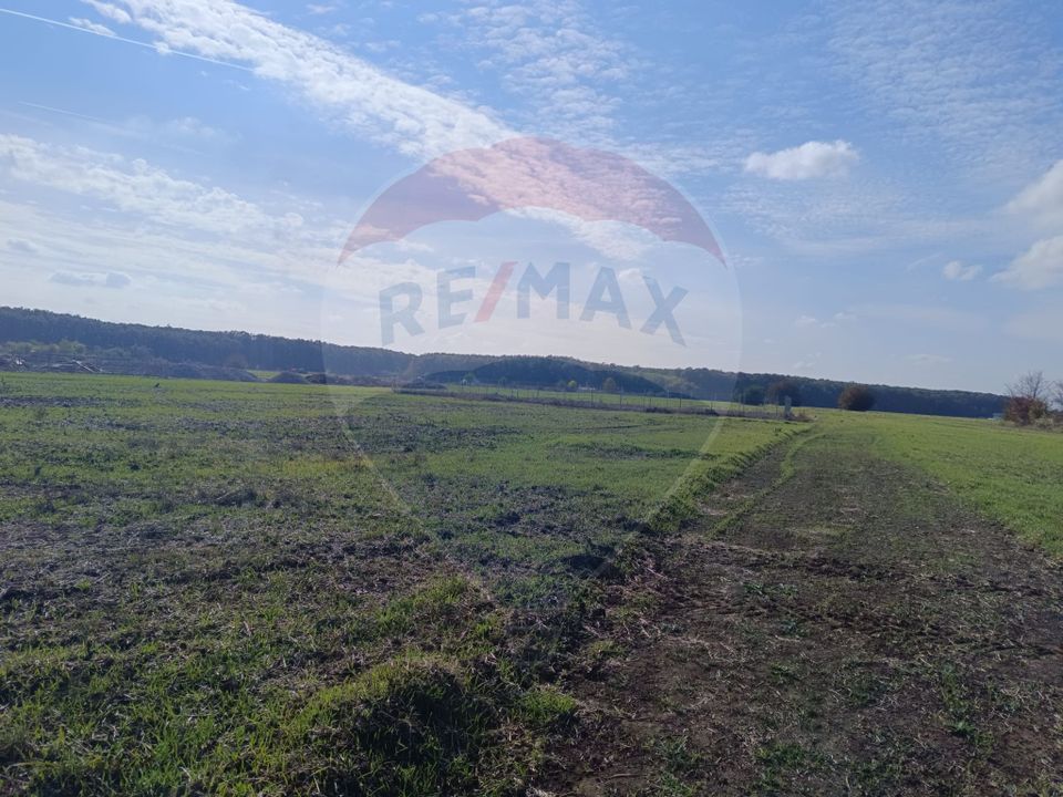 Teren 800mp Ghermanesti / Soseaua Ghermanesti