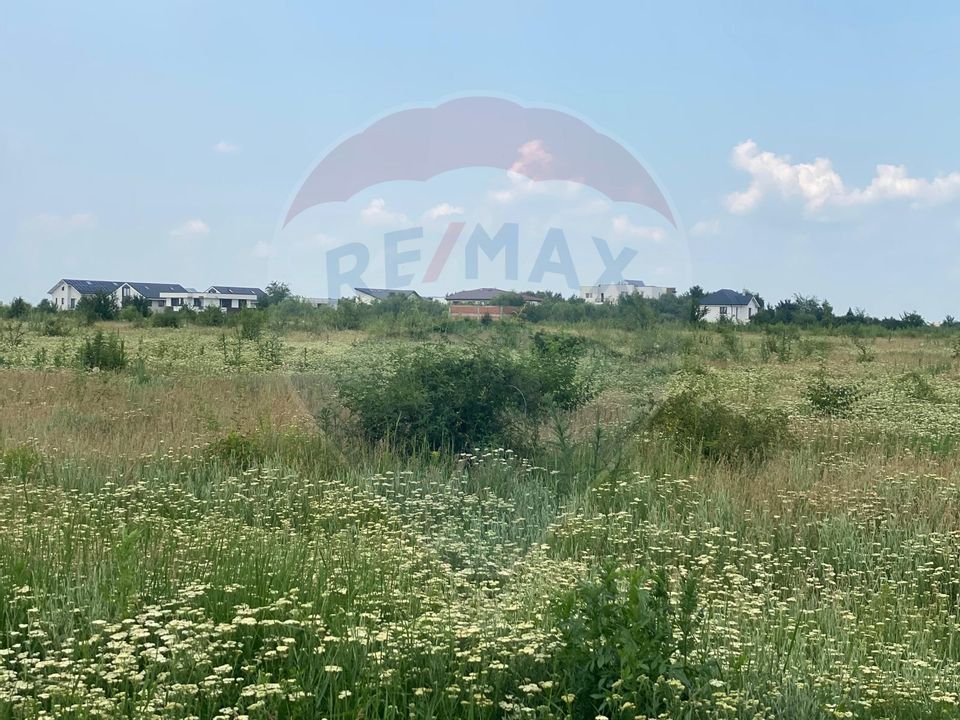 DE VANZARE Teren 600mp Drumul Piscul Mosului SISESTI