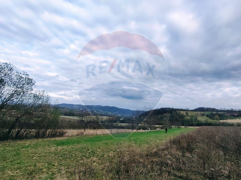 Teren cu panorama superba în Berchezoaia + bonus rulota