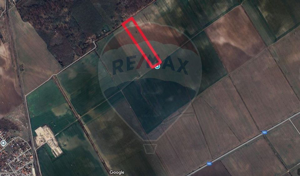 Teren intravilan Buftea, langa Padurea Mocanului