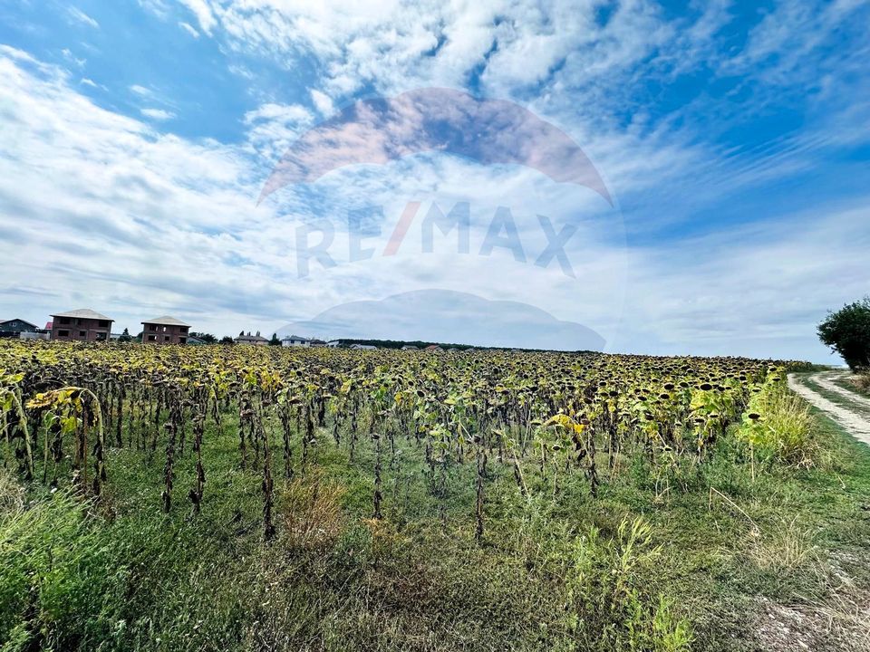 Land 14,863sqm Ciorogarla / None