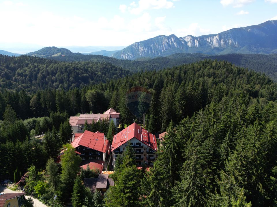 14 room Hotel / Pension for sale, Vladet - Trei Brazi area