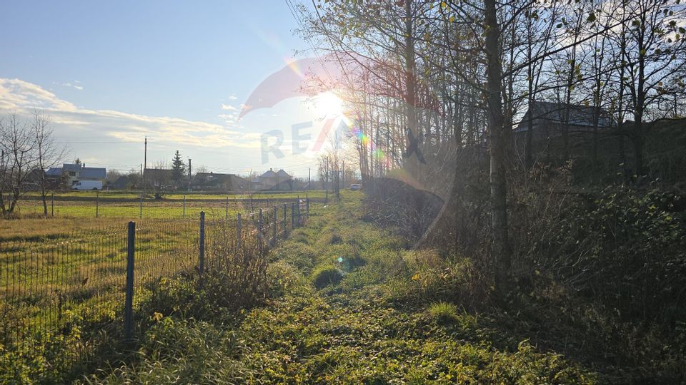 Land 10,860sqm Fratautii Noi / Strada Dealului