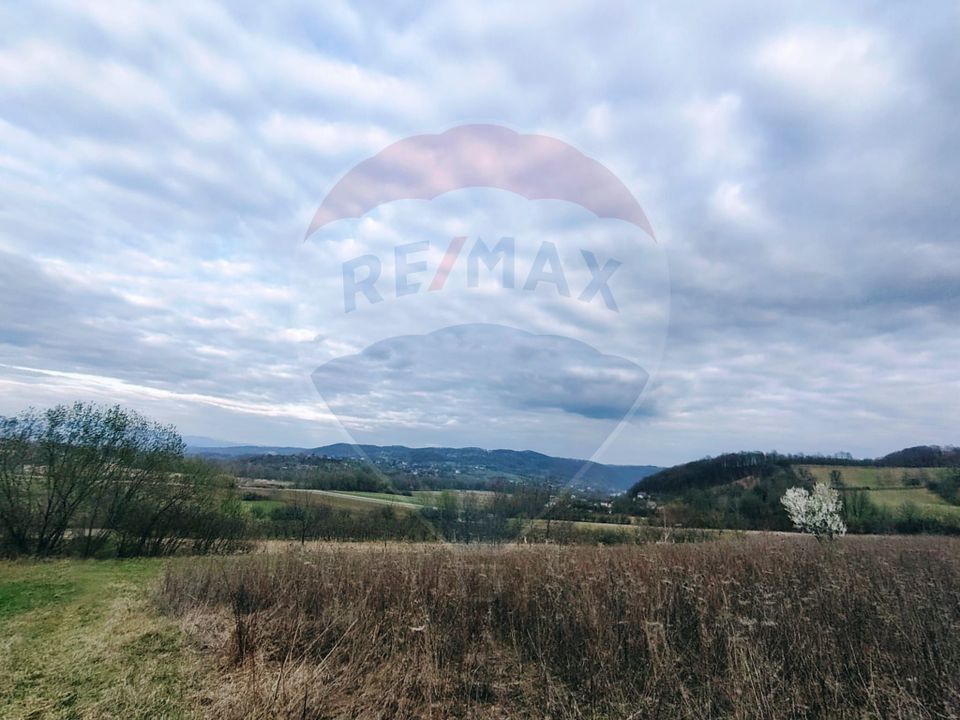 Teren cu panorama superba în Berchezoaia + bonus rulota