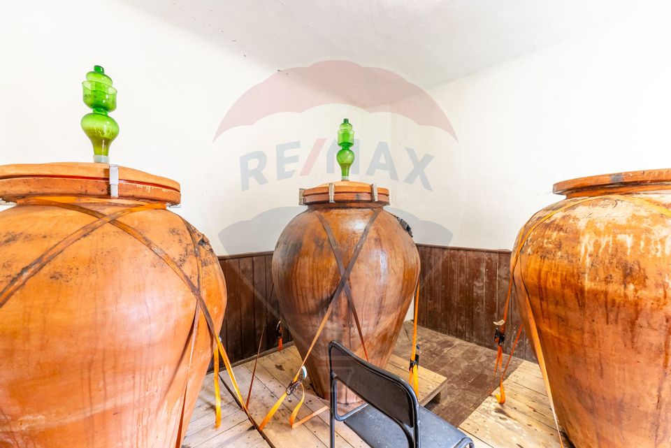 Conac aristocratic secolul XIX , domeniu  2,5 hectare — Păuliș, Arad