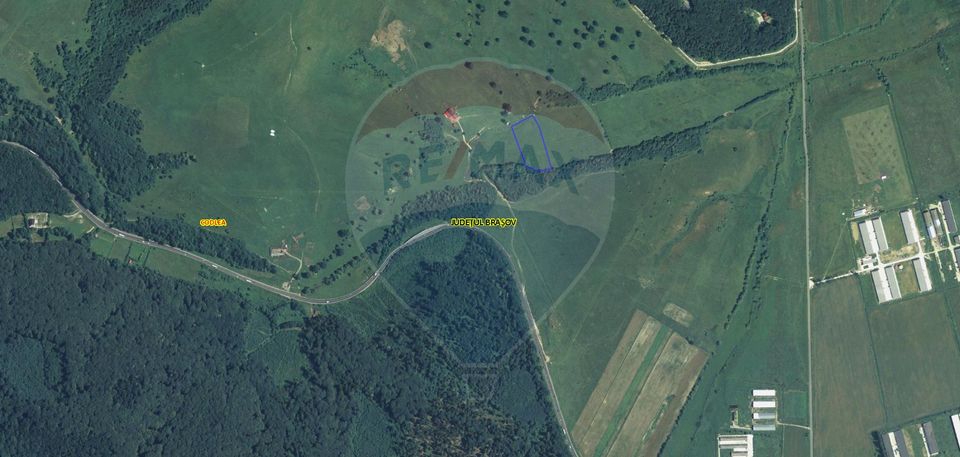 Teren 10,000mp Codlea / DN 1