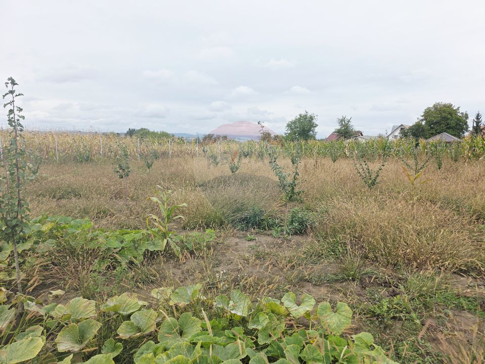 4 room House / Villa for sale