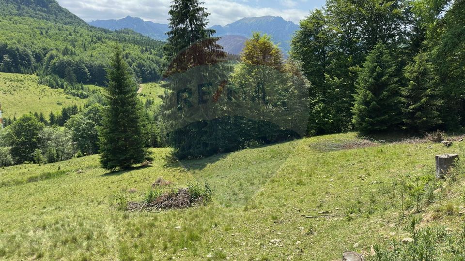 Land 6,000sqm Dalghiu / DJ 103A