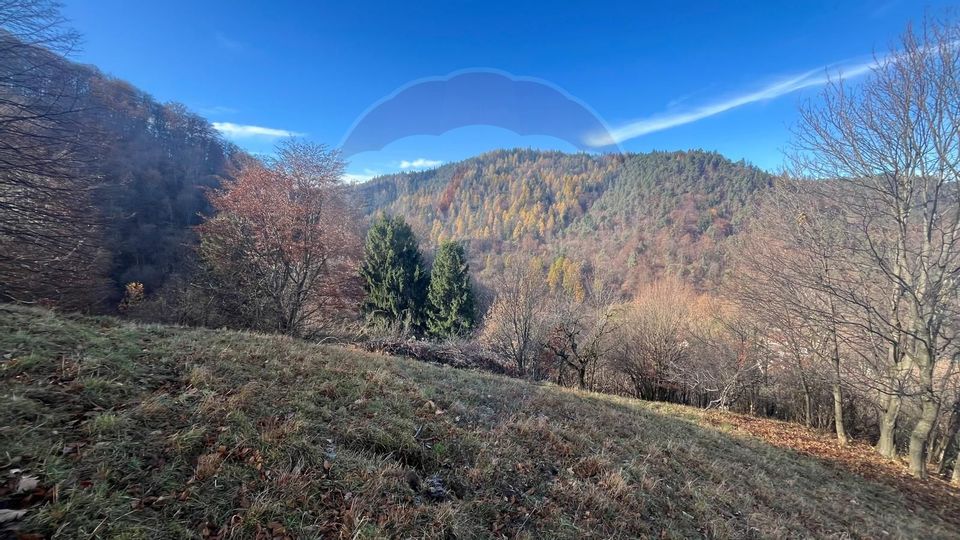 Teren Colinar Panoramic – 17.684 mp în Scheii Brașovului