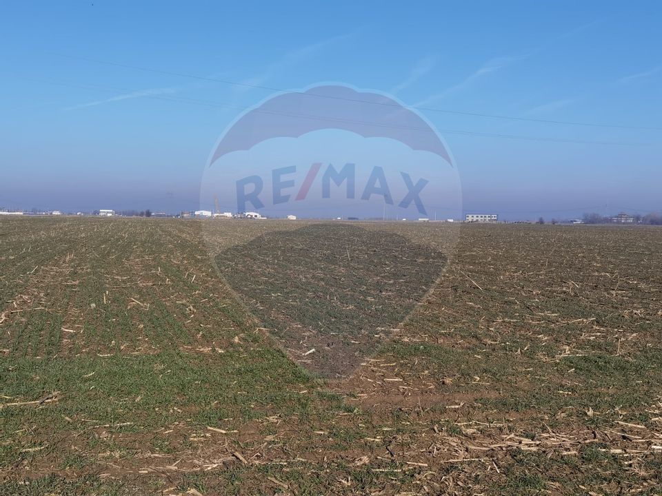 Arable land 7500 sqm | Bolintin-Vale / Poarta Luncii Street